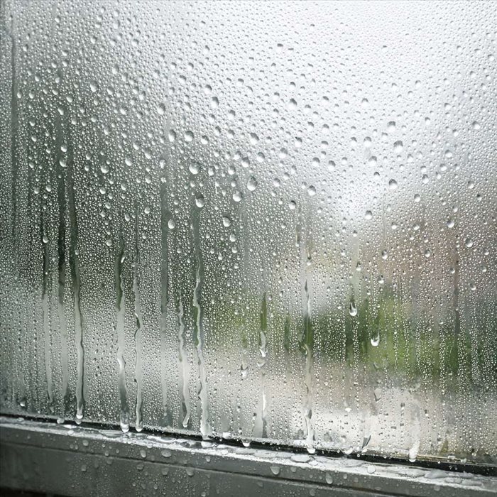 Condensation : principes, causes et solutions essentielles